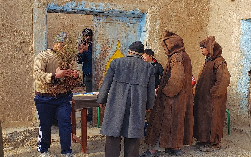المناخ