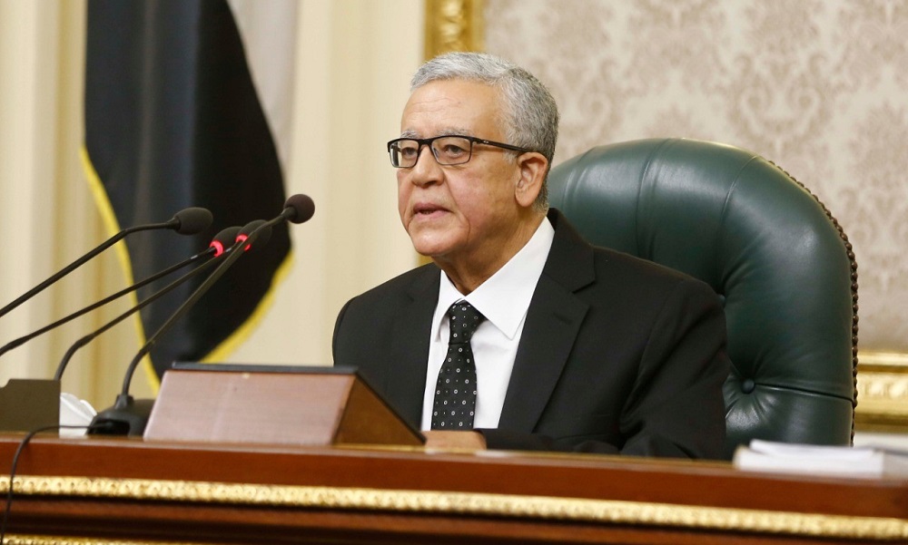 النواب المصري