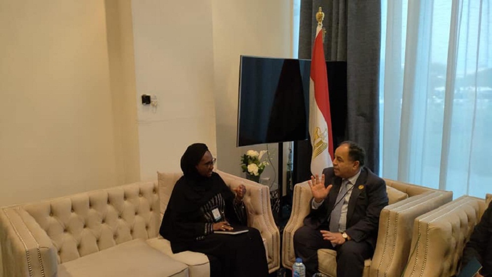 وزير المالية المصري
