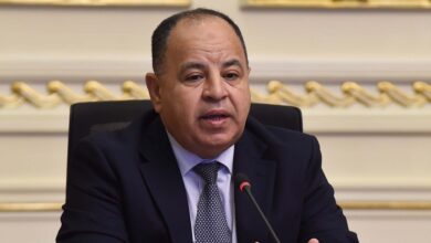 وزير المالية المصري
