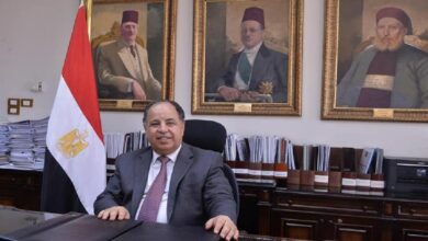 وزير المالية المصري