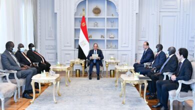 السيسي