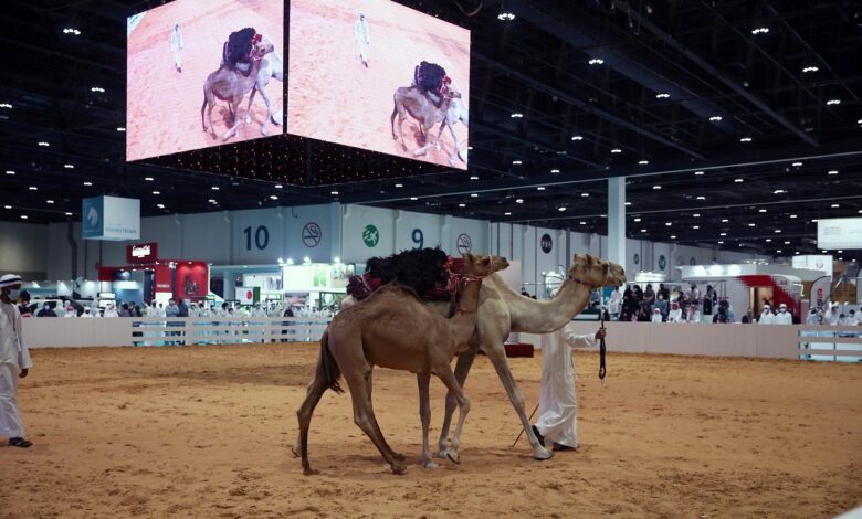 معرض أبوظبي الدولي