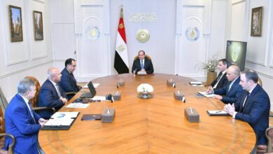السيسي