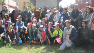 البيئة تشارك في حملة تشجير لزراعة 300 شجرة مثمرة في مدارس القاهرة