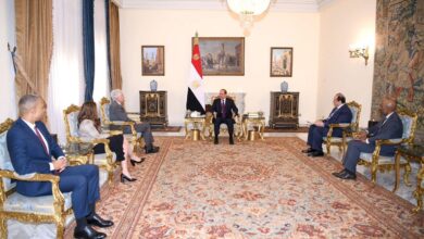 السيسي