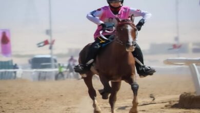 كأس فاطمة بنت منصور للقدرة