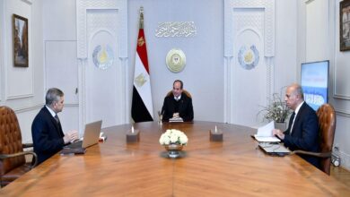 السيسي