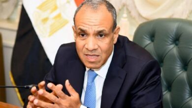وزير الخارجية المصري