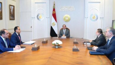 السيسي