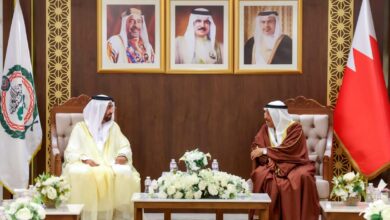 الدبلوماسية البرلمانية