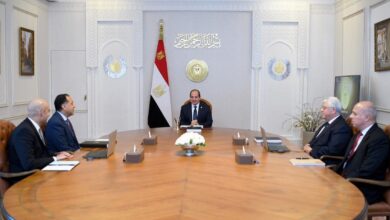 السيسي