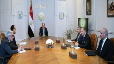 السيسي
