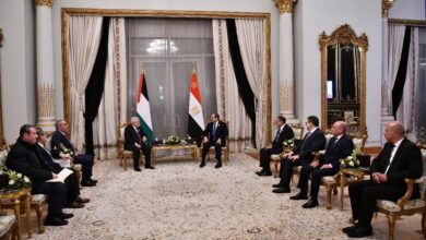 السيسي