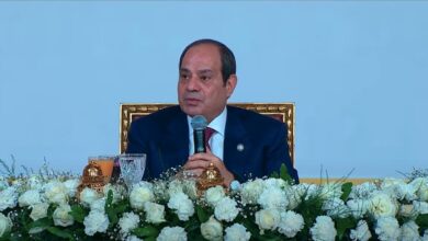 السيسي
