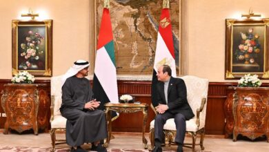 قمة مصرية إماراتية
