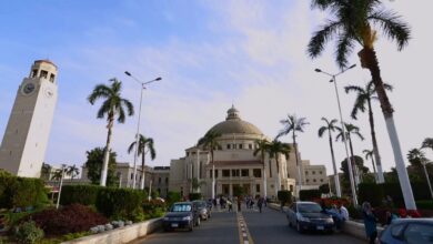 الجامعات المصرية