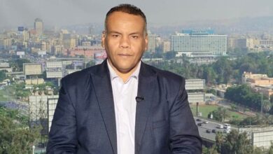 السيسي