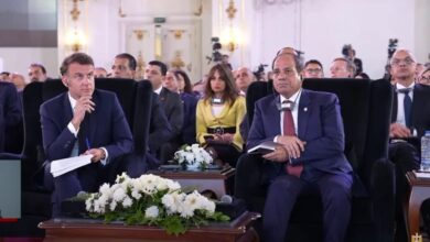 الشراكة المصرية الفرنسية