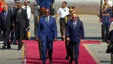 السيسي