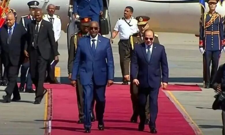 السيسي