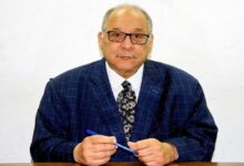 السياسة