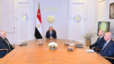 السيسي